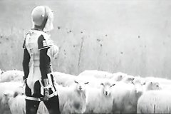 Полуголая инопланетянка ползает среди овечек
